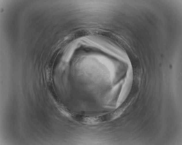 X0000087640139200705241249