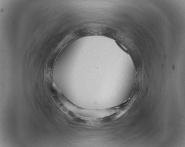 X0000087640141200705241249