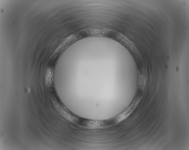 X0000087640142200705241249