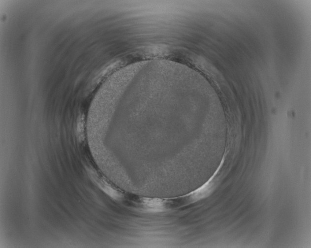 X0000087640144200705241249