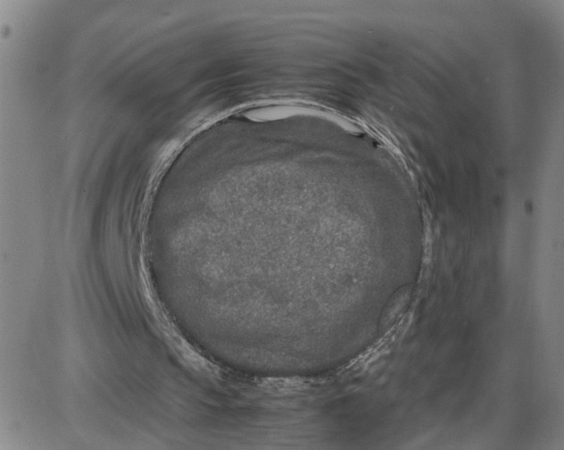 X0000087640145200705241248