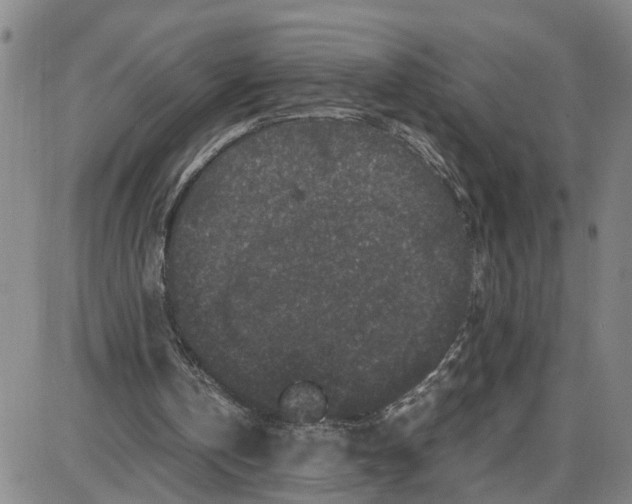 X0000087640146200705241248