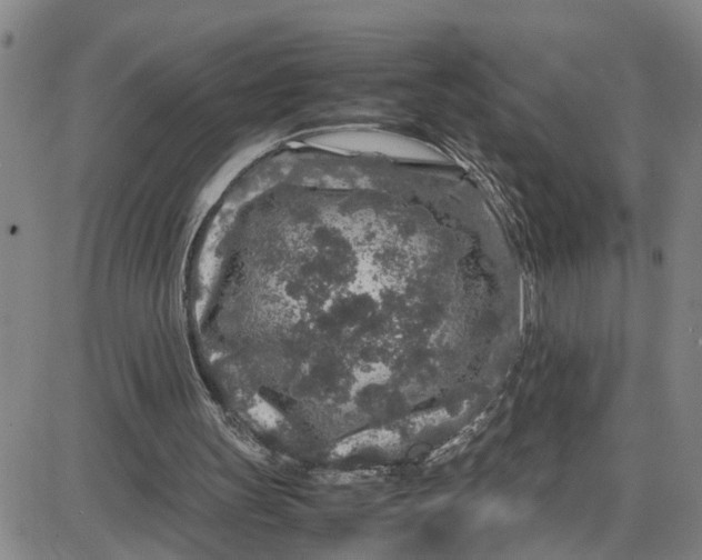 X0000087640147200705241248