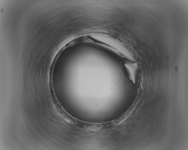 X0000087640148200705241248