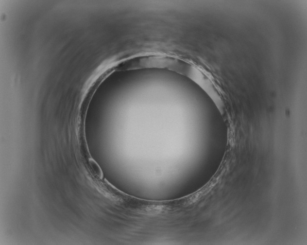 X0000087640152200705241248