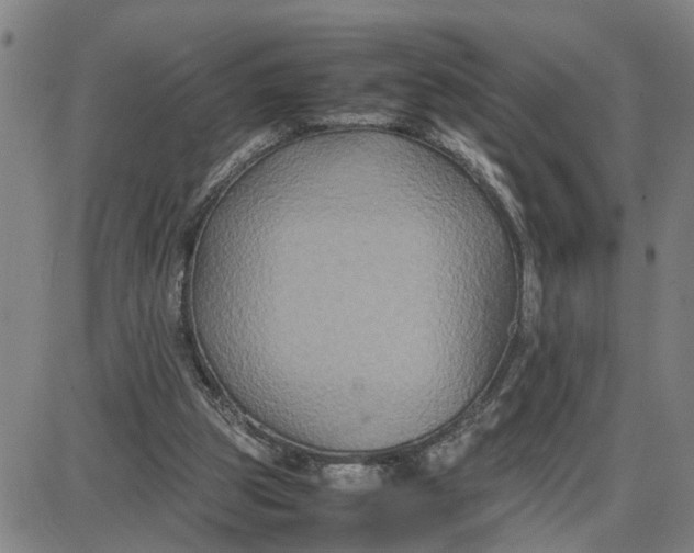 X0000087640153200705241248