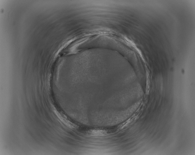 X0000087640154200705241248