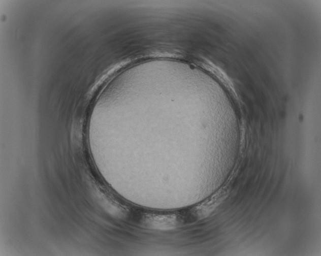 X0000087640155200705241248