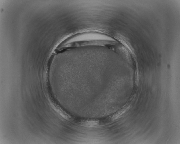 X0000087640156200705241248