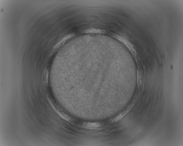 X0000087640157200705241248