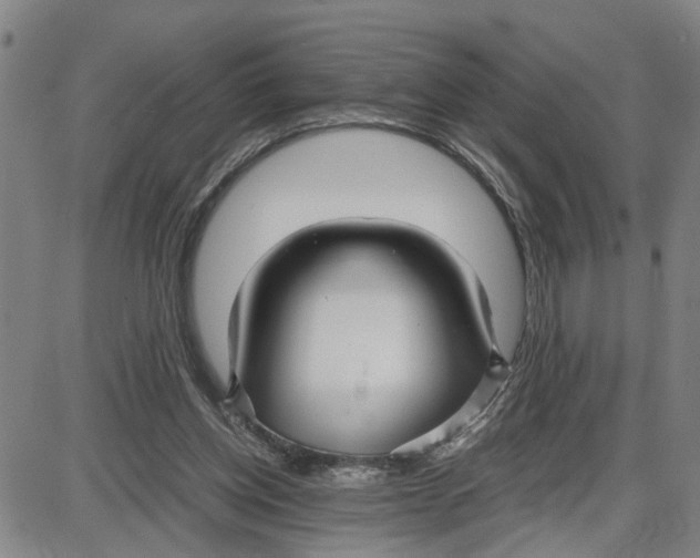 X0000087640158200705241248