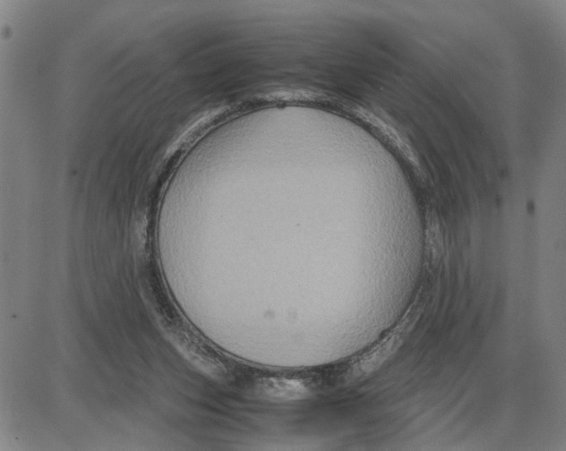 X0000087640159200705241248