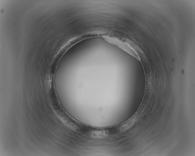 X0000087640160200705241248