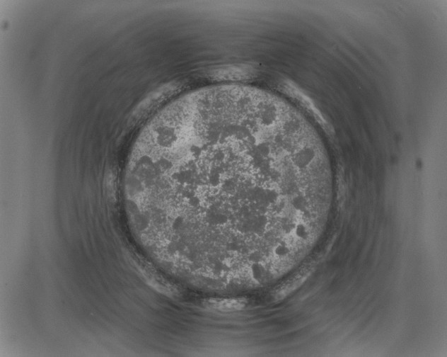 X0000087640161200705241248