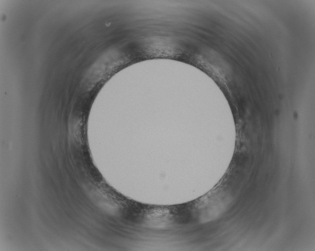 X0000087640162200705241248