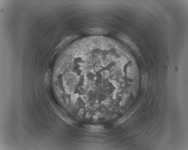 X0000087640165200705241248