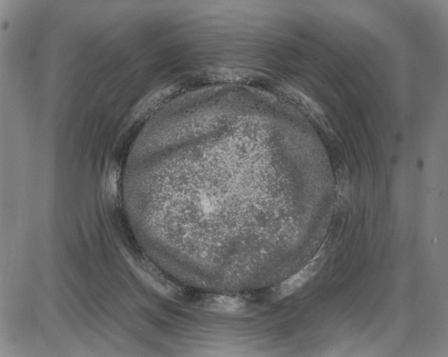 X0000087640166200705241248