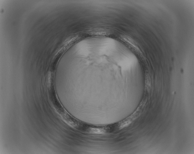 X0000087640167200705241248