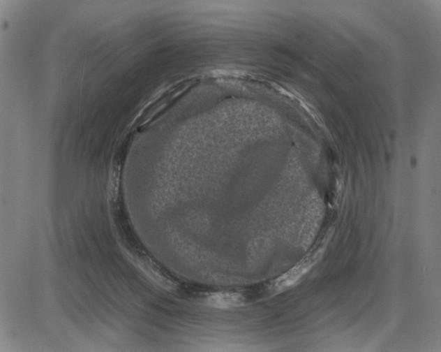 X0000087640168200705241248