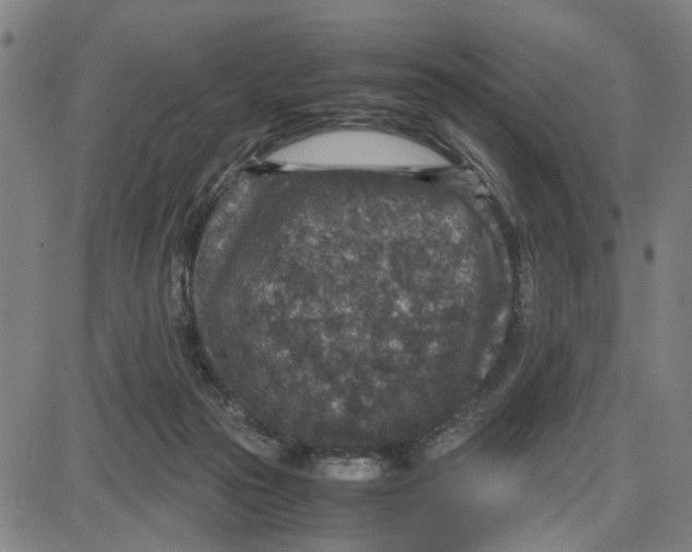 X0000087640169200705241248