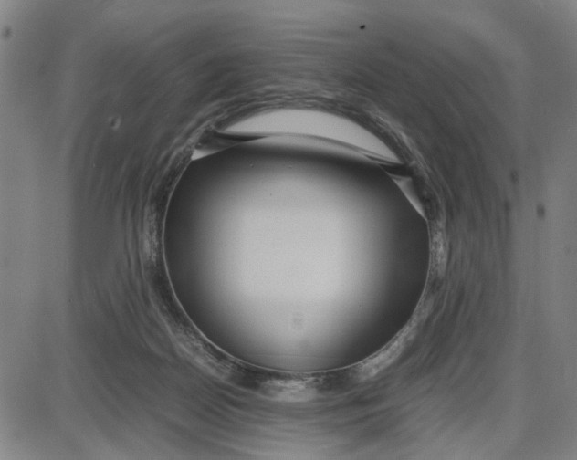 X0000087640170200705241248