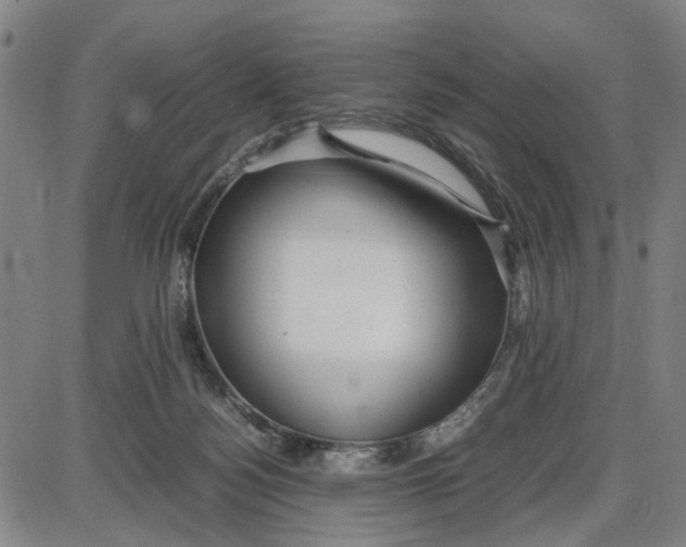 X0000087640172200705241249