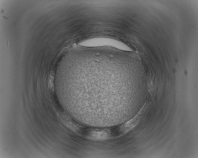 X0000087640175200705241249