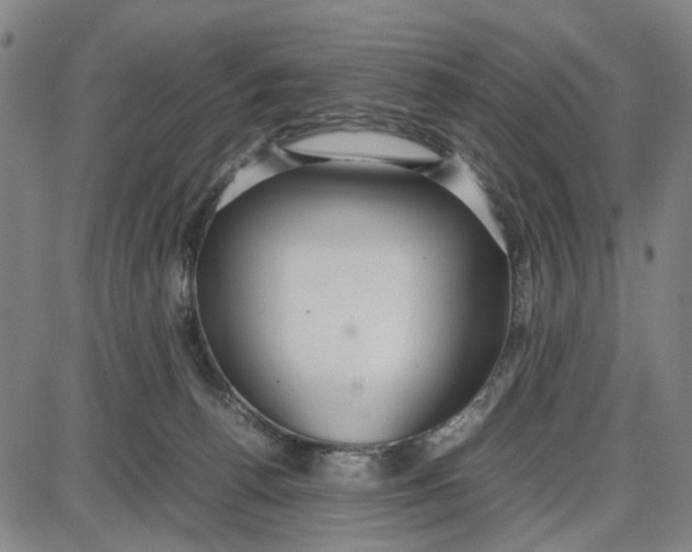 X0000087640176200705241249