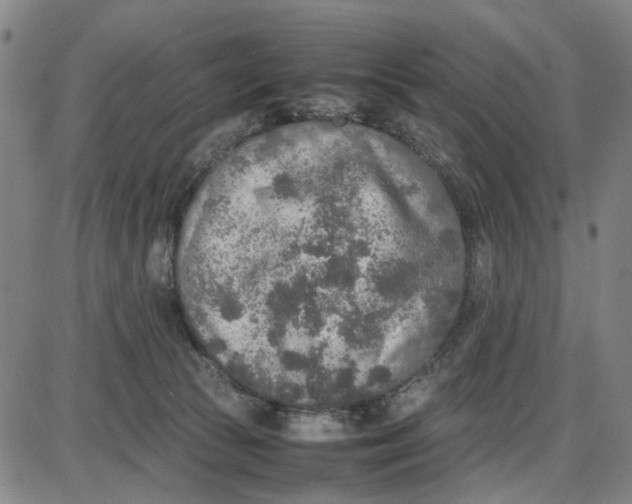 X0000087640177200705241249