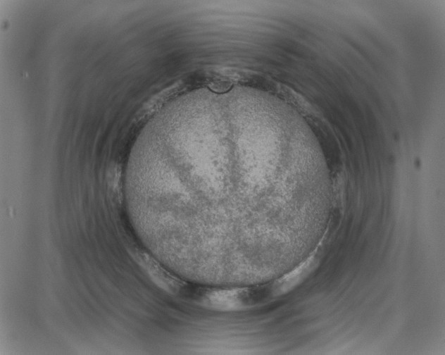 X0000087640178200705241249