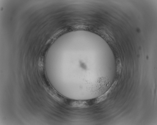 X0000087640179200705241249