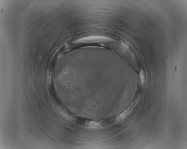 X0000087640180200705241249