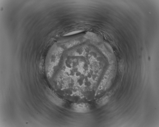 X0000087640181200705241249