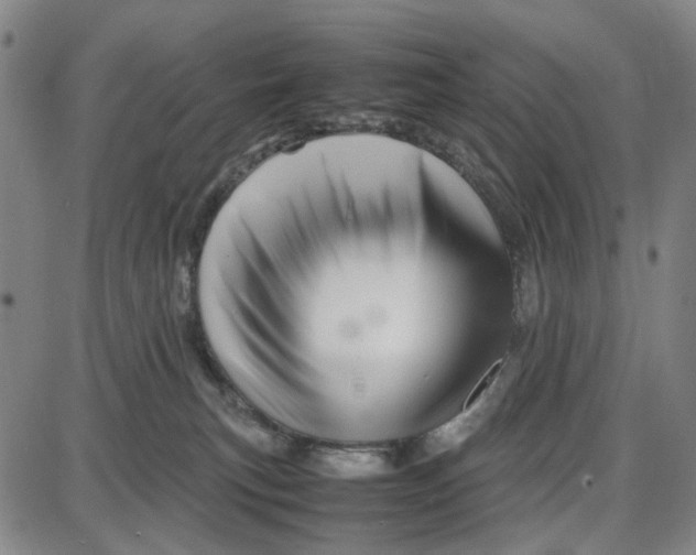 X0000087640183200705241249