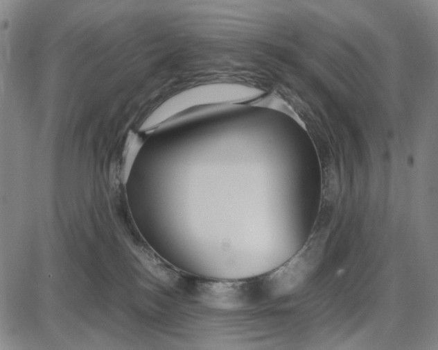 X0000087640184200705241249