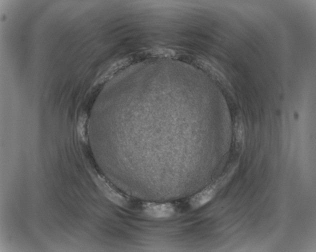 X0000087640185200705241249