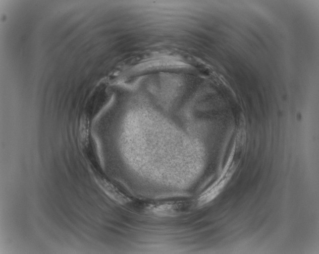 X0000087640186200705241249