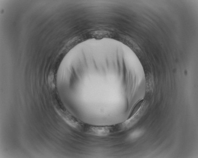 X0000087640187200705241249