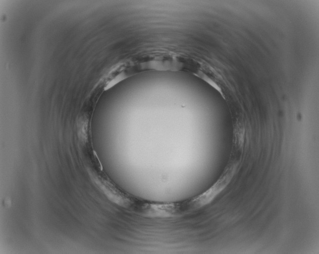 X0000087640188200705241249