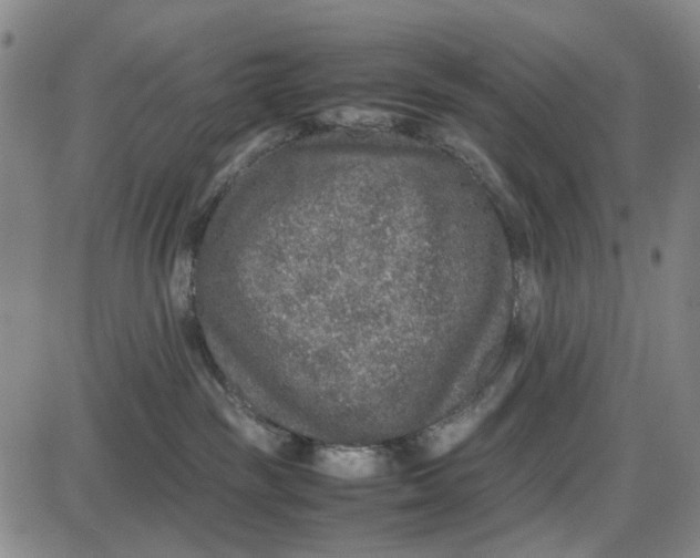 X0000087640189200705241249