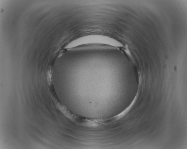 X0000087640190200705241249