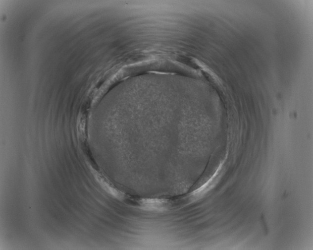 X0000087640192200705241249