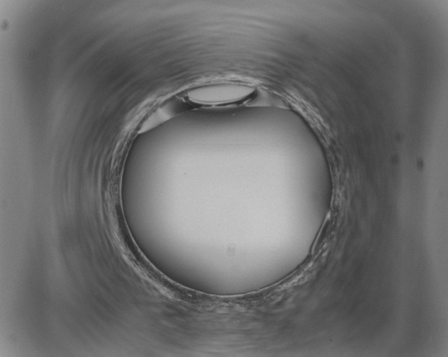 X0000087640193200705241248