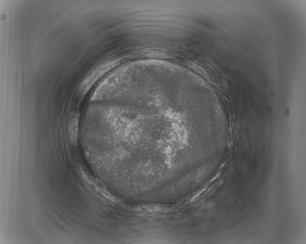 X0000087640194200705241248