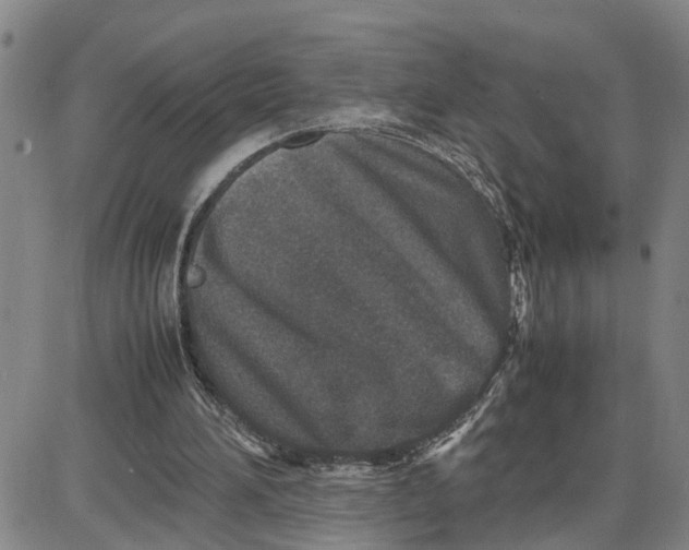 X0000087640196200705241248