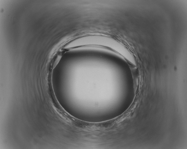 X0000087640197200705241248