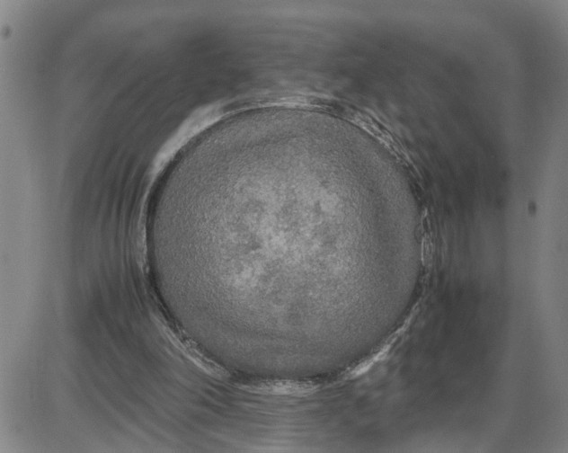 X0000087640198200705241248