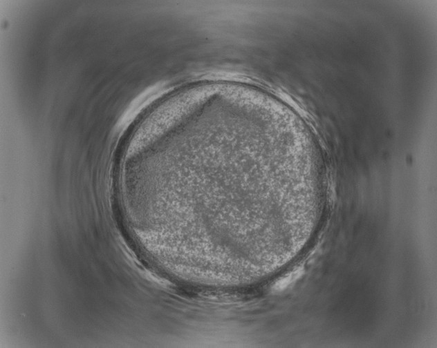 X0000087640199200705241248