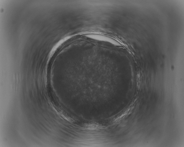 X0000087640200200705241248