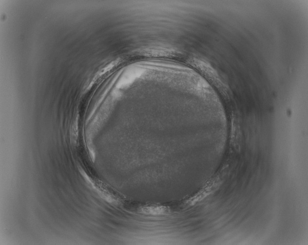 X0000087640202200705241248